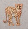 Cheetah, Big Cat, Realistic Animals, Embroidered Iron on Patch